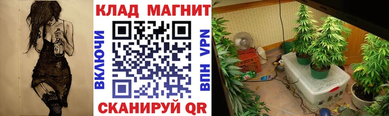Купить закладку МАРИХУАНА  Меф  Codein  Гашиш  COCAIN  Липецк