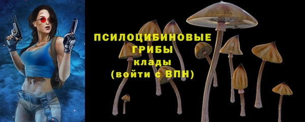 дурь Наволоки