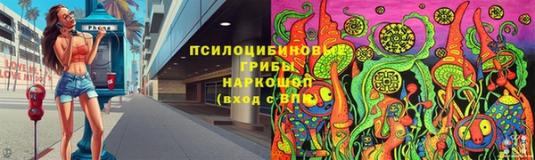 дурь Наволоки