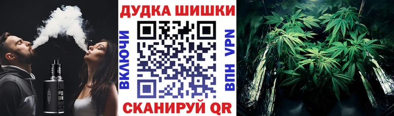 Бошки Шишки семена  Купить где  Липецк 